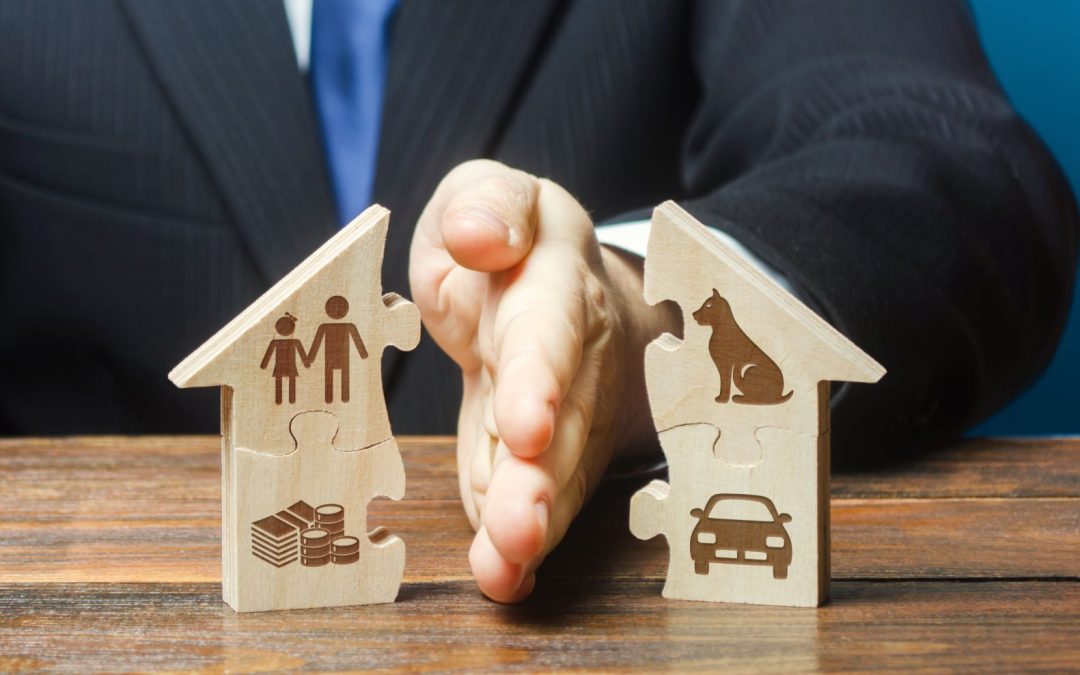 The Role of a Certified Divorce Financial Analyst in Your Divorce